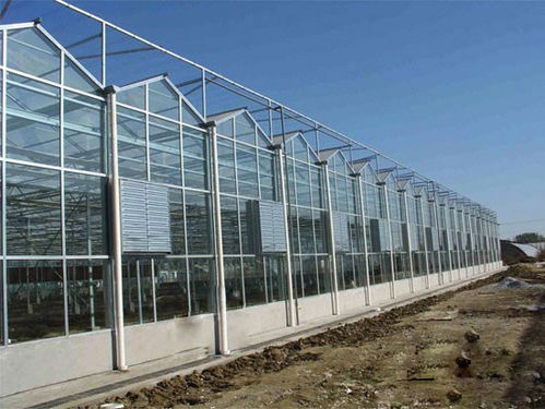 温室用中空玻璃价格产品介绍 建英农业科技