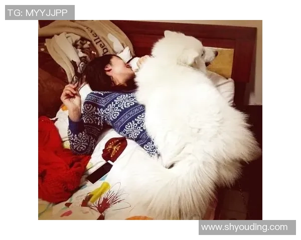 女子偶遇足球明星的奇妙瞬间背后隐藏的故事与感动